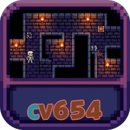 cv654